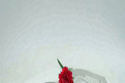 青島農(nóng)業(yè)大學(xué)在職研究生學(xué)費學(xué)制詳解！